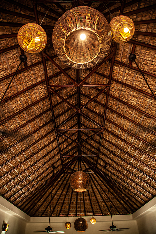 Imagen de techo de palapa con lÃ¡mparas de plantas nativas y ventiladores de techo