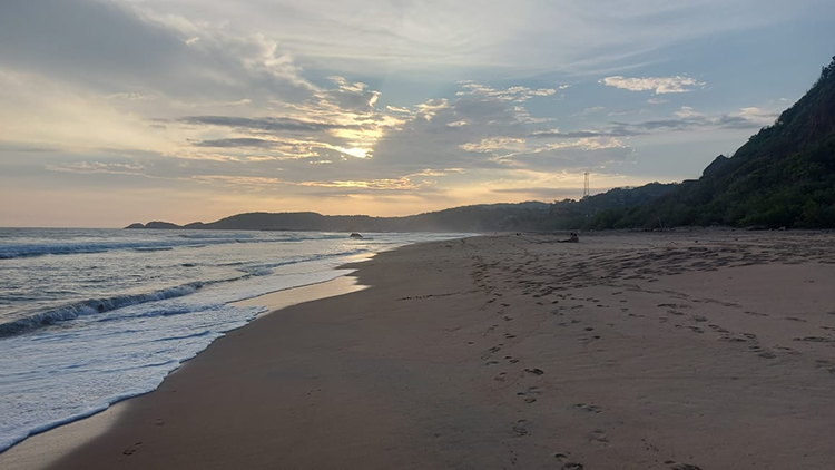 view of the beach with sunset