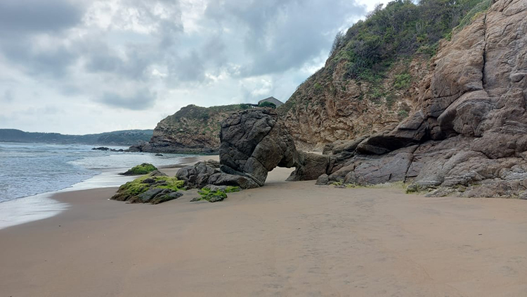 view of rocks on the beach