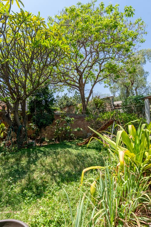 Santo Domingo area land garden vertical