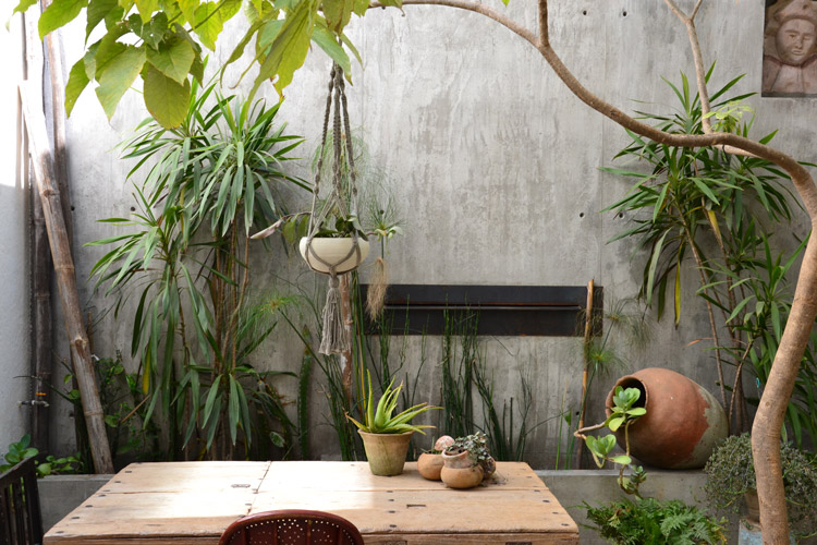 Table of reclaimed boards in indoor garden