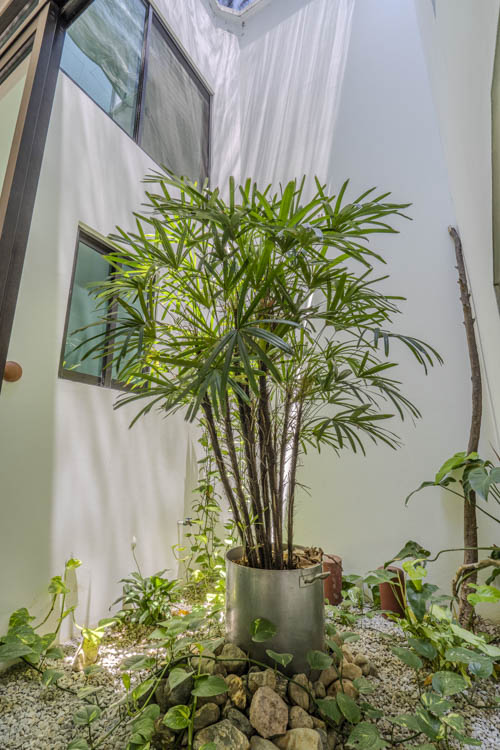 indoor central air and light shaft skylight