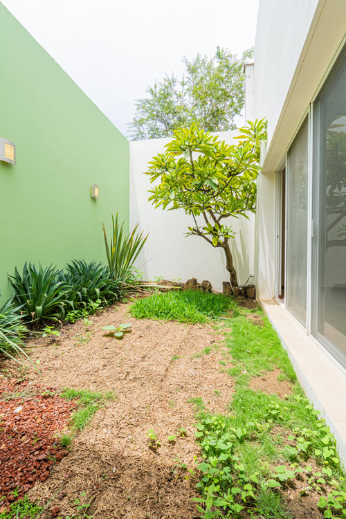 garden and back yard patio with tree