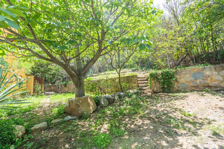 yard in private property for sale