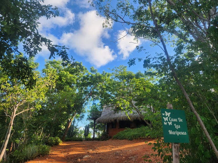 main entrance