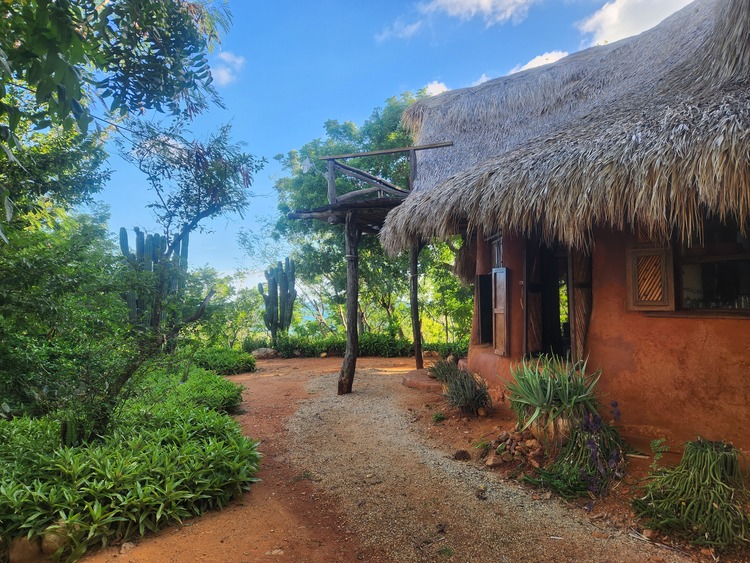 a palapa roof