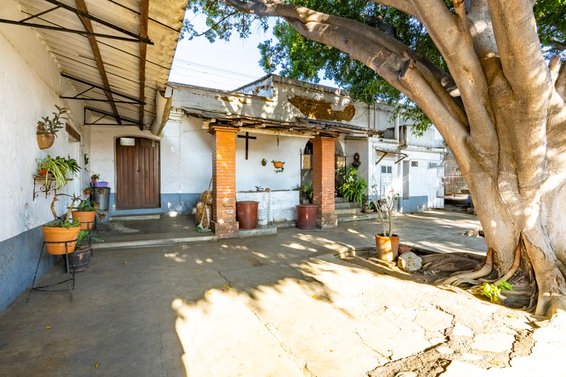 garden in home for sale in el centro Oaxaca