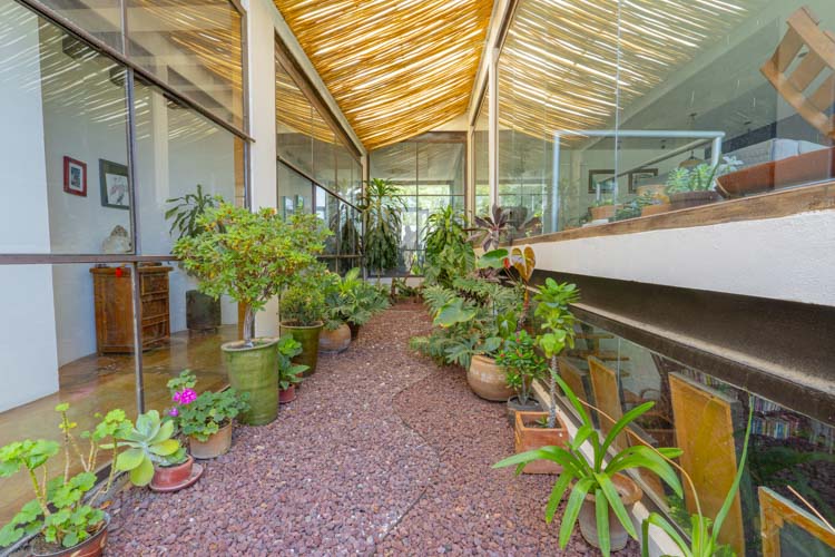 central garden with large windows into three sides of house