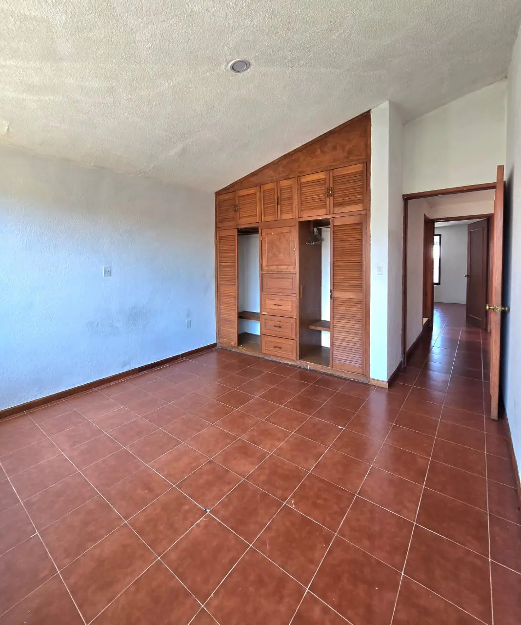 Casa San Felipe Image 6
